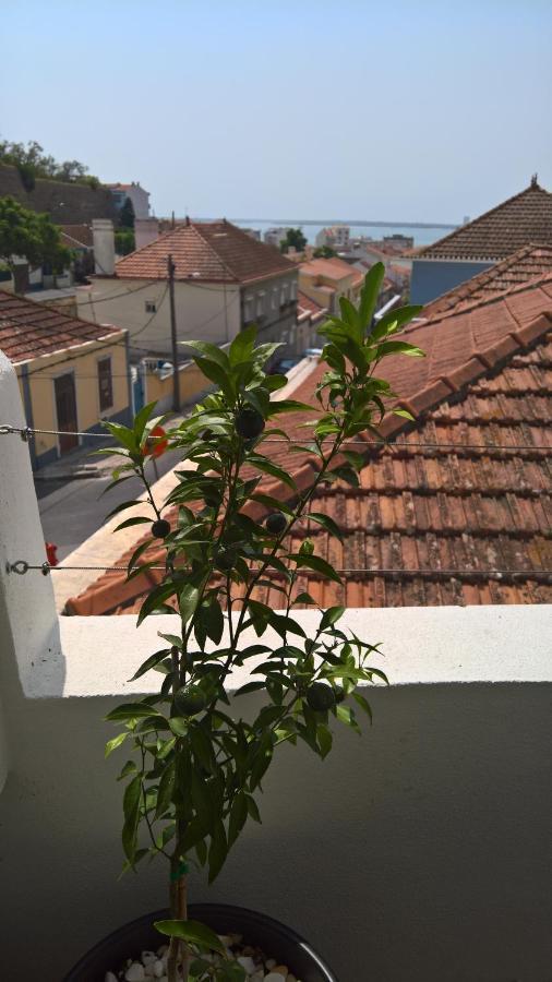 Casa Do Viso Villa Setubal Exterior photo